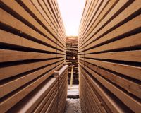 Douglas Lariks of Red Class Wood foto 2