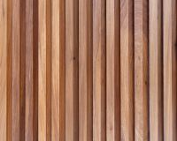 Douglas Lariks of Red Class Wood foto 4